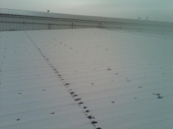 15,000 ft² Leaky Steel Roof
